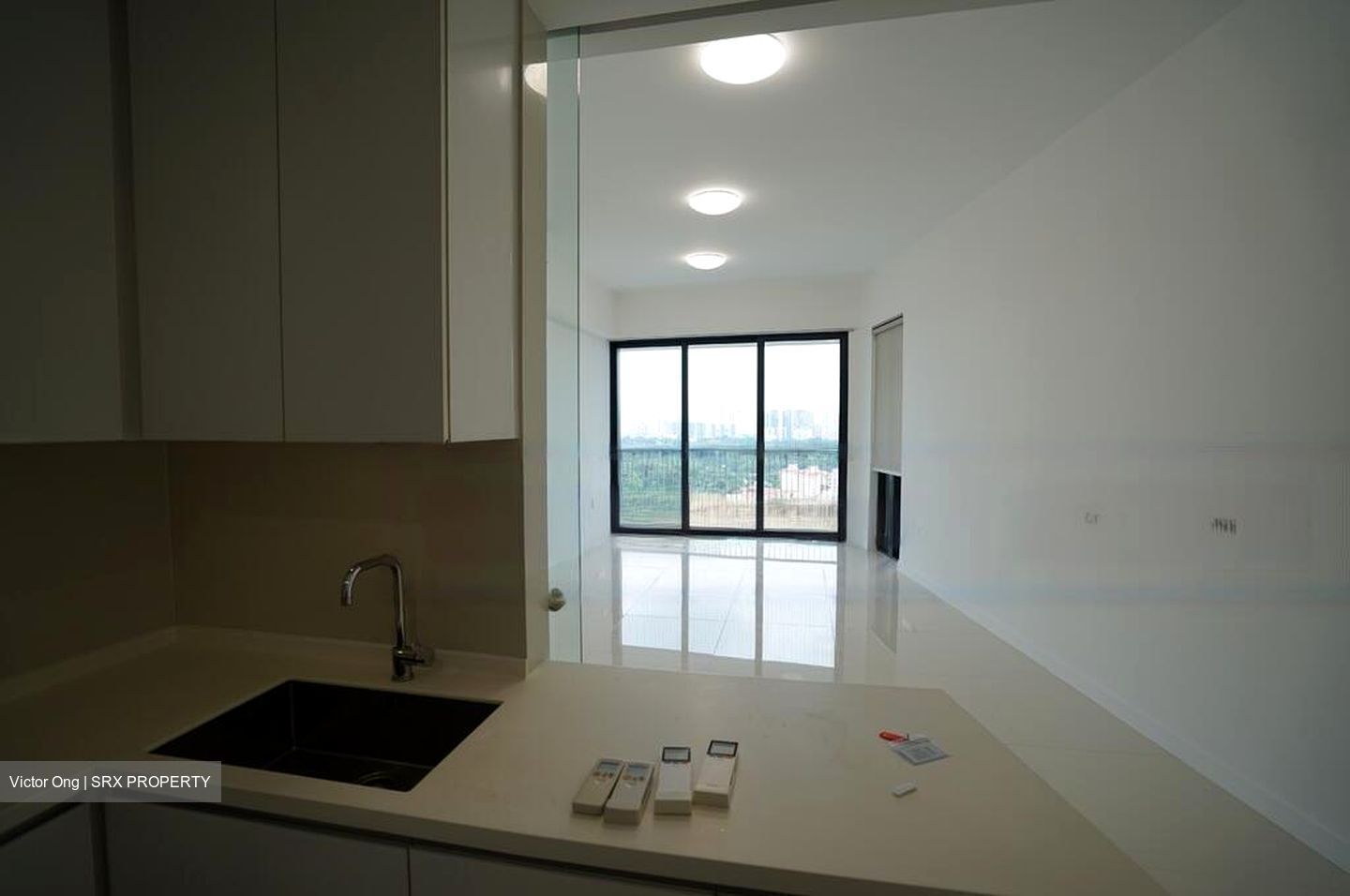 D'Leedon (D10), Condominium #455084251